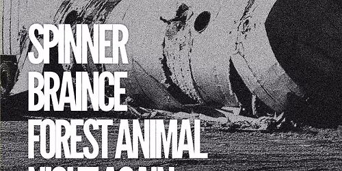 SPINNER \/ BRAINCE \/ FOREST ANIMAL \/ NIGHT AGAIN @ X-RAY ARCADE