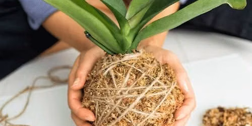 ORCHID KOKEDAMA WORKSHOP \u2014 CREATE A LIVING MOSS BALL TO HANG OR DISPLAY
