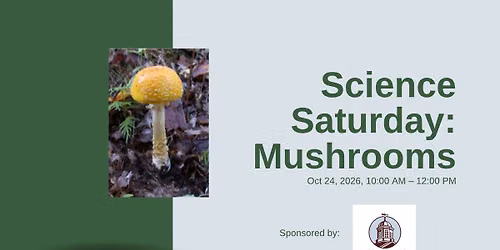 Science Saturday: Mushrooms