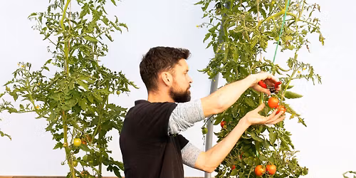 Visit our Heritage Seed Library - Garden Organic Open Days