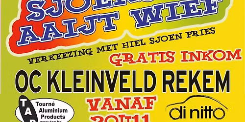 13de Sjoenste Aaijt Wief 2.0