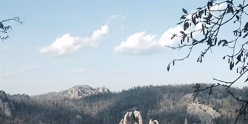 Global Exchanges for Indigenous Youth