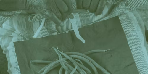 Workshop Series: Seeding Joy