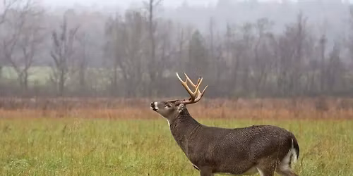 2026 Moses Lake Auction Banquet