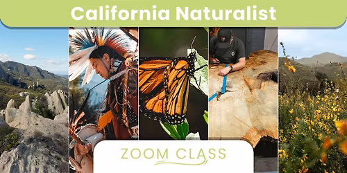 California Naturalist Zoom Class 7