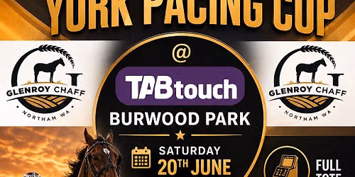 York Pacing Cup