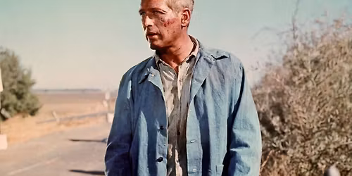 Midday Movie Classics: Cool Hand Luke (PG)