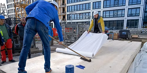  H\u00fcbriidseminar: RISTKIHTPUIDU NIISKUSTURVALISUS HOONEKARBIS