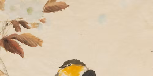 Drawing Closer: Bird is the Word