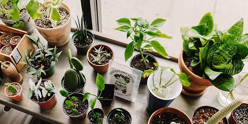 Plant Exchange