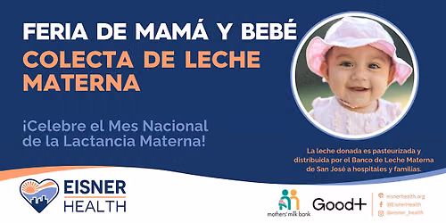 Feria para Madres y Colecta de Leche Materna (clase en persona)