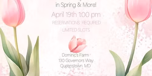 Petals & Pastures with Sunflower Kissed