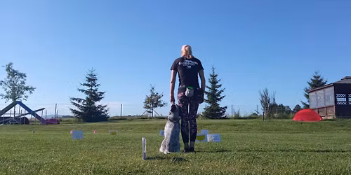 V\u00edkendovka Obedience, RO a dogdancing 