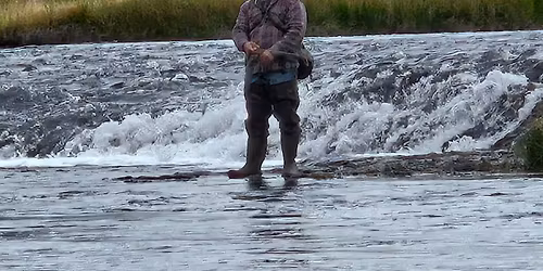 PHW Rapid City Holiday Party