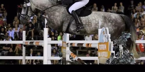 Skokov\u00e9 soust\u0159ed\u011bn\u00ed s Ing. Markem Zbo\u0159ilem