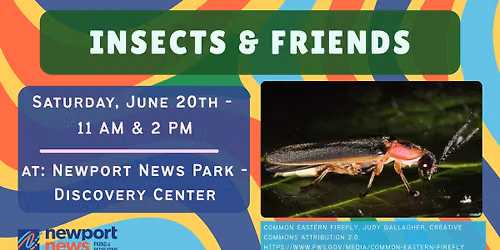Insects and Friends