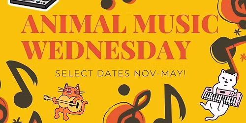Animal Music Wednesdays! (and one Thursday)