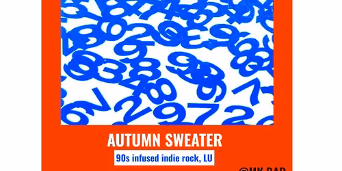 Concert : PUNCHLOVE (USA) + support AUTUMN SWEATER (LU)