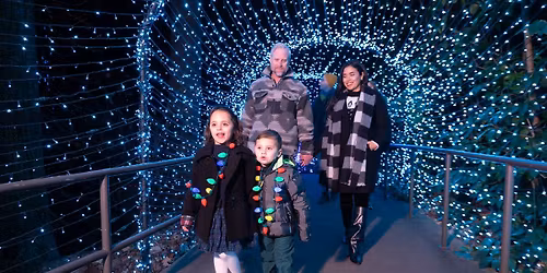 Gainesville Glows: Lanterns & Lights