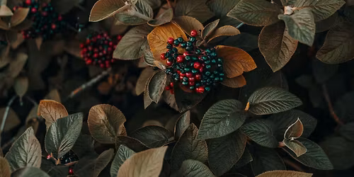 101 Miller Recurring Event 3