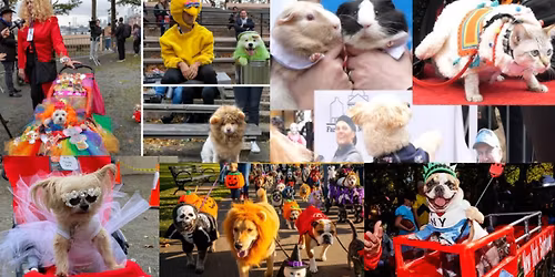 St. Paul Halloween Pet Parade in Mears