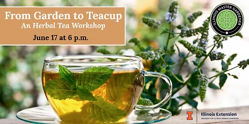 From Garden to Teacup: Herbal Tea Workshop