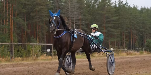 Paikallisravit Miehikk\u00e4l\u00e4ss\u00e4 Pellinkankaan raviradalla