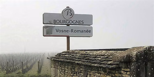 Discover the Wines of Burgundy