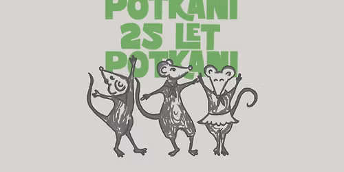 Skautsk\u00fd ples k 25. v\u00fdro\u010d\u00ed Potkan\u016f