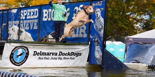 55th annual Waterfowl Festival with Delmarva Dockdogs