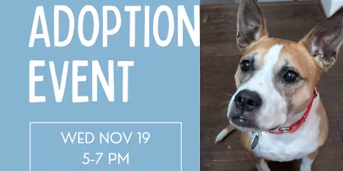 11\/19 Pop Up Adoption Event at PetSmart Central Park