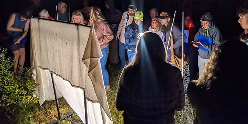 Night Hike & Moth Survey