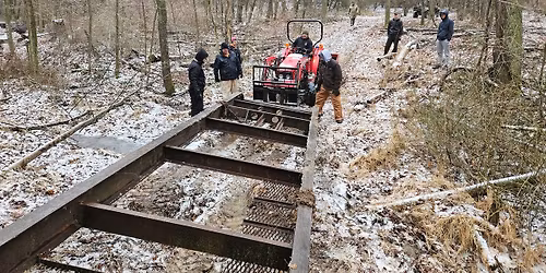 Worker Bees Patrol - 11\/15 CFR Workday