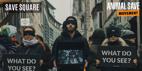 EINDHOVEN Save Square