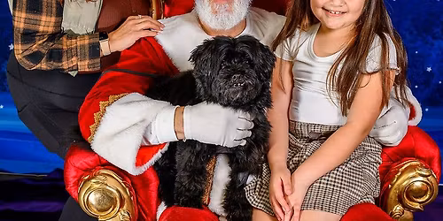 Santa Paws