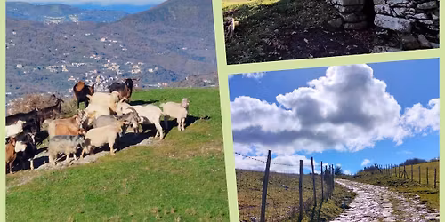 Tra boschi di noccioli, querce, antiche trazzere e  Cubburi. Ucria