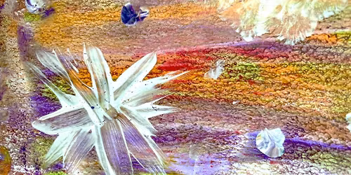 Connecting Carers to Carers\u2026improving connection and wellbeing through creativity