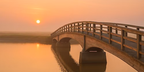 Being the Bridge: Helping Others Through Trauma