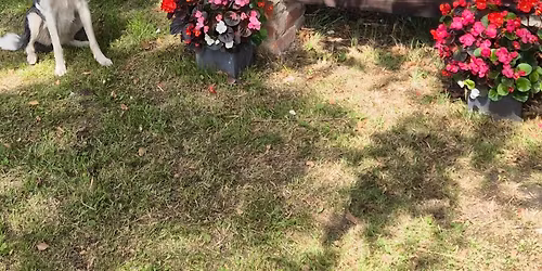 OUR NEXT EVENT - ARC EQUESTRIAN 18 YRS AND UNDER EASTER CHAMPIONSHIP SHOW