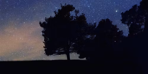 MUSIK I M\u00d8RKET i Vor Frue Kirke Aarhus