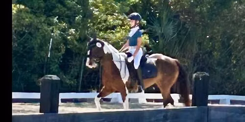 Spring Forward Charity Schooling Show