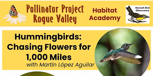 Hummingbirds: Chasing Flowers for 1,000 Miles!