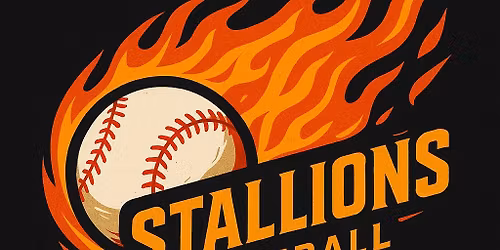 Baseball Tryouts 15U