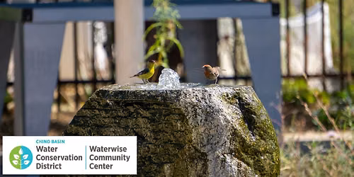 DIY Water Features and Birdbaths