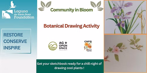 Community in Bloom: Botanical Drawing Activity