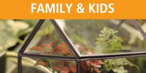 Mini Terrariums