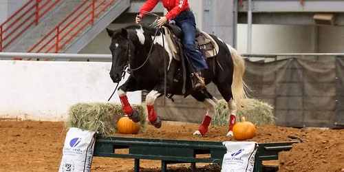 Course de cowboy Extrême Expo Lachute