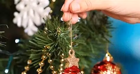 3rd Annual Tree Trimming Event\/Decoration Drive