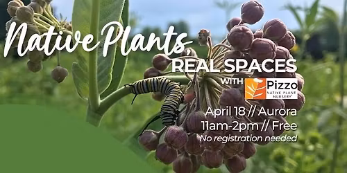 Native Plants, Real Spaces - Aurora