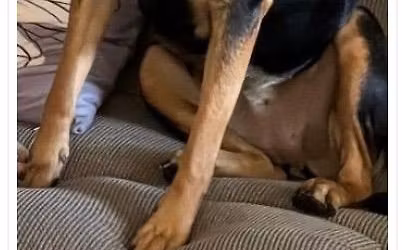 Monthly Meet & Greet